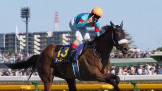 【秋華賞】登録馬と見どころ アーモンドアイ3冠達成なるか