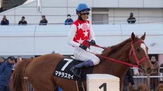 【東京盃】枠順と見どころ マテラスカイのスピードが1枚抜けているか