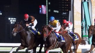 【東京盃】キタサンミカヅキが連覇！武豊マテラスカイは4着