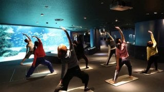 サンシャイン水族館でヨガ体験！女性限定イベント「水族館Nightヨガ」開催