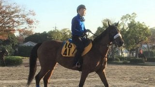 【府中牝馬S】フロンテアクイーン 相手なりに走る安定感