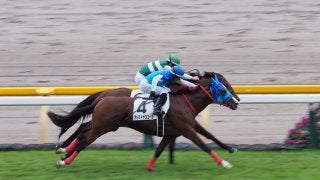 【東京3R/2歳未勝利】アドマイヤスコールがゴール前の大接戦を制す！ソルドラードはハナ差の2着