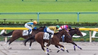 【東京2R/2歳未勝利】ハクナマタタが抜け出して人気に応える！