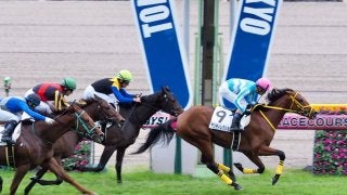 【東京1R/2歳未勝利】ジャスタウェイ産駒 サンディレクション逃げ切り！