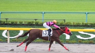【東京4R/2歳新馬】スマートグランダムが快勝！デムーロ「すぐに良いところにつけられた」