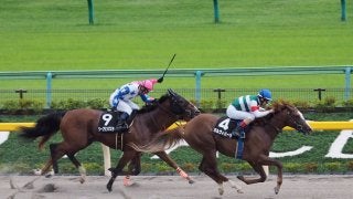 【プラタナス賞】ガルヴィハーラがデビューからダート2連勝