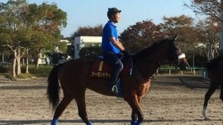 【秋華賞】アーモンドアイ 国枝師「ひと夏を越しての成長も感じます」
