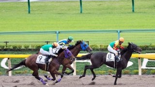 【東京2R/2歳未勝利】セイカヤマノが直線一気で差し切り