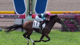 【東京1R/2歳未勝利】ヴァッシュモンが圧倒的人気に応える