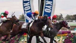 【東京4R/2歳新馬】オルフェーヴル産駒 ラストヌードルが差し切り！