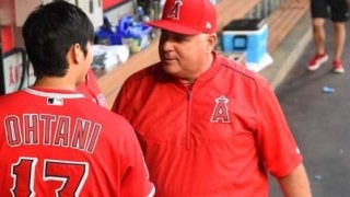 【MLB】大谷所属のエンゼルス　新監督人事で異例の2時間筆記試験を行う理由