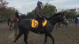 【富士Ｓ】ウインブライト 松岡「みっともない競馬にはならないと思う」