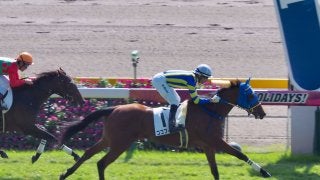 【東京3R/2歳未勝利】ココフィーユが圧倒的人気に応える！父にロードカナロア産駒