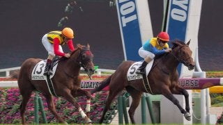 【東京5R/2歳新馬】キングカメハメハ産駒 ランフォザローゼスがデビューV！