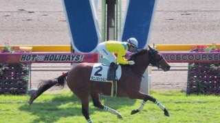 【東京4R/2歳新馬】母ウオッカ タニノミッションがデビューV！