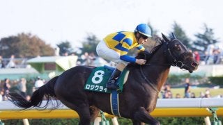 【富士S】ロジクライ完勝！絶好調ルメールが導く