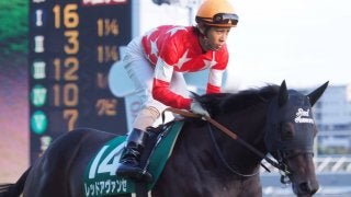【富士S】レッドアヴァンセが見せ場十分の3着！強豪牡馬と互角に渡り合う