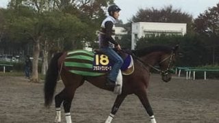 【菊花賞】ブラストワンピース 池添謙「菊花賞は何としても一緒に取りたいです」