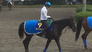 【菊花賞】グローリーヴェイズ 古馬を破った勢いでG1タイトルへ挑む