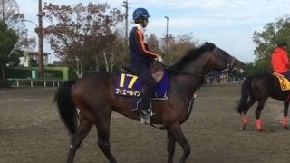 【菊花賞】フィエールマン 絶好調ルメール騎乗で魅力十分