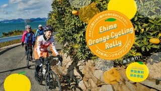 愛媛のかんきつ産地を周遊する「えひめオレンジサイクリング」開催