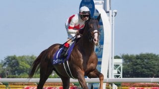 【天皇賞(秋)】登録馬と見どころ スワーヴリチャード レイデオロなど