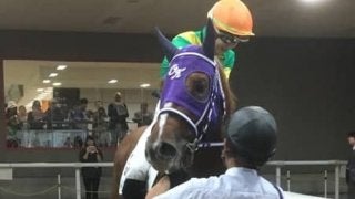 伏兵トリヴォルテソーロが低評価を覆す！木幡育「リズムよく運べました」