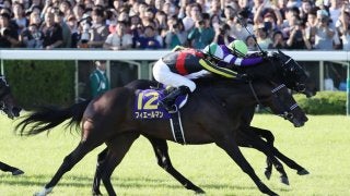 【菊花賞】またしてもルメール！神騎乗でフィエールマンがハナ差の勝利