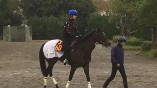 【アルテミスS】グレイシア レースぶりの幅魅力