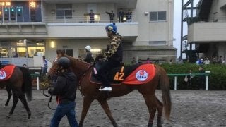 【アルテミスS】ウインゼノビア 松岡「想像していた以上の上昇カーブ」