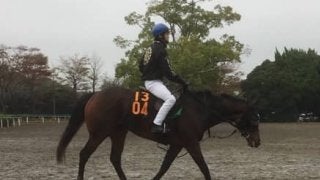 【アルテミスS】ミリオンドリームス 藤沢和師「レースがとても上手」