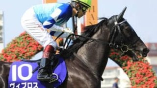 豪華絢爛の天皇賞・秋。人気の盲点となる３頭が身も心も温めてくれる