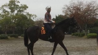 【アルテミスS】シェーングランツ 藤沢和師「東京に替わるのはいいと思う」