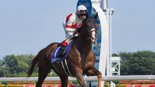 【天皇賞・秋】枠順と見どころ スワーヴリチャードは4枠5番