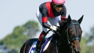 天皇賞・秋の制覇に近いのはクラシックとは無縁だった明け４歳馬だ