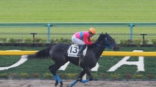 【東京4R】ペイシャムートンが差し切りV！オドノヒューが導く