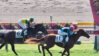 【東京2R】ヘイワノツカイが33.1のキレ味！差し切りV