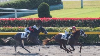 単勝131倍 ワイルドトレイダーが差し切りV！ホウオウモントレーは2着