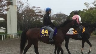 【天皇賞・秋】レイデオロ 藤沢和師「ヤル気十分ですよ」