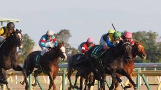 【アルテミスS】藤岡康「勝ちに行った分の差」レース後 ジョッキーコメント