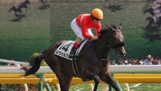 【東京5R/新馬戦】ディープインパクト産駒 ルヴォルグが完勝！