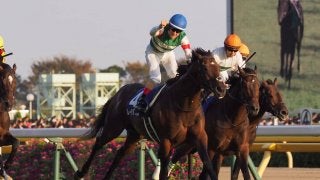 【天皇賞・秋】またまたルメール！レイデオロを優勝に導き3週連続G1制覇！