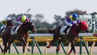 【東京4R/2歳新馬】ワークフォース産駒 シトラスノキセキがデビュー勝ち
