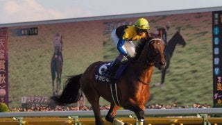 【天皇賞・秋】武豊「流れ込んだだけ」マカヒキは後方で伸びあぐねる