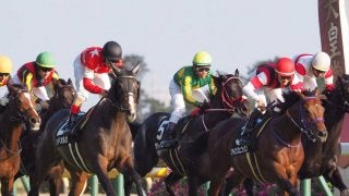 【紅葉S】レッドオルガがゴール前強襲！デムーロの落ち着いた捌きが際立つ