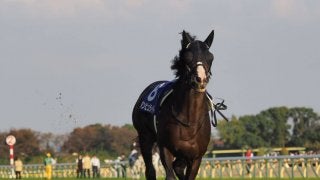 【天皇賞・秋】ダンビュライト放馬で悲鳴 競走除外