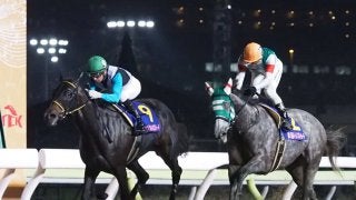 【JBCレディスクラシック】登録馬と見どころ プリンシアコメータなど