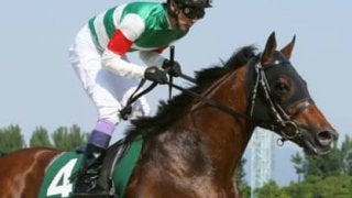 舞台も展開も特異なJBCクラシックは「老練な３頭」に旨みあり