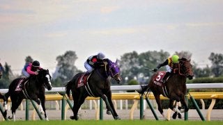 【京王杯2歳S】武豊「楽しみな1頭」ファンタジストがデビュー3連勝