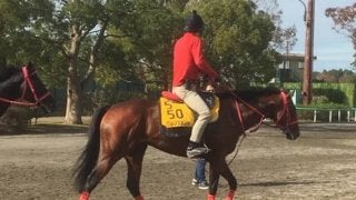 【武蔵野S】グレンツェント 9ヶ月半ぶりの実戦も得意の条件